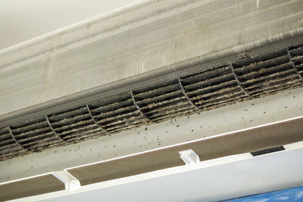 Best Affordable Air Duct Cleaning  in New Hope, MN